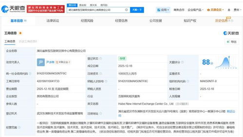 中國電信等企業(yè)在湖北成立新型互聯(lián)網(wǎng)交換中心公司，賦能數(shù)字經(jīng)濟新生態(tài)
