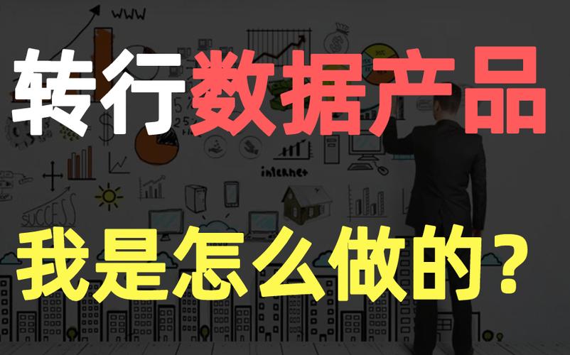 一線互聯網大廠數據產品經理求職全攻略 從準備到實戰